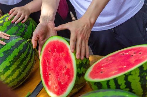 四川今日吃瓜事件视频最新,真相与误解交织