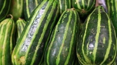 今日有什么瓜吃,揭秘娱乐圈最新八卦，精彩纷呈等你来吃瓜