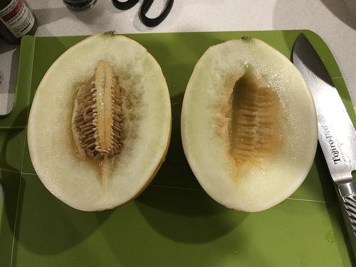 今日有什么瓜吃,揭秘娱乐圈最新八卦，精彩纷呈等你来吃瓜