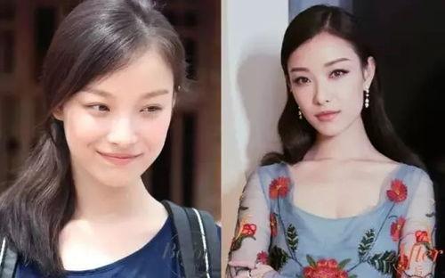 中国明星网红是谁呀视频,中国明星网红背后的热门视频