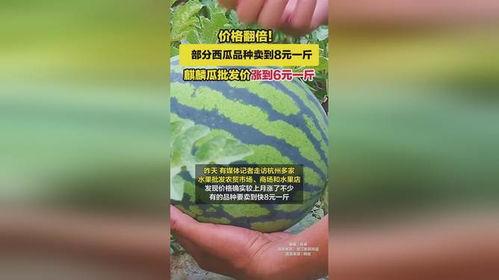 麒麟瓜今日价格行情,涨跌波动，市场动态一览