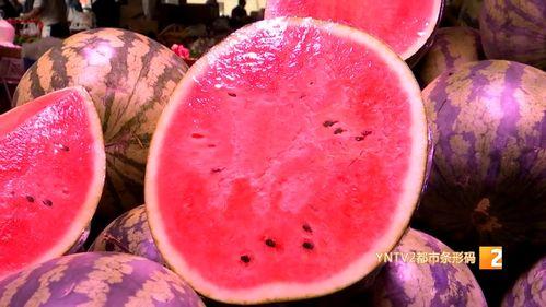 麒麟瓜今日价格行情,涨跌波动，市场动态一览