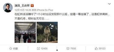 为什么都贬低明星网红,为何社会普遍贬低明星网红现象背后的真相