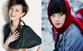 明星网红影视剧大全,明星网红影视盛宴大盘点