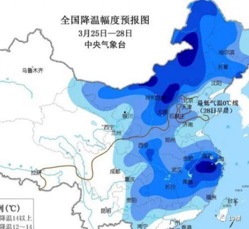 今日份收瓜,盘点瓜界新鲜事