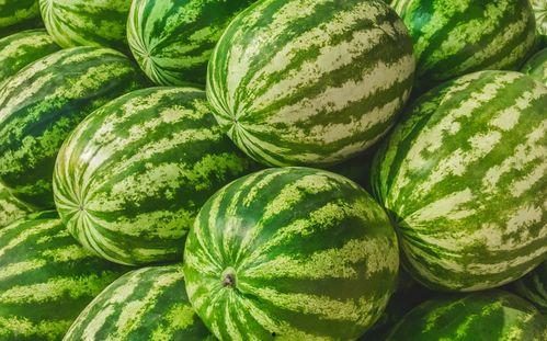 今日吃瓜必吃大瓜网,大瓜网独家揭秘娱乐圈最新猛料！