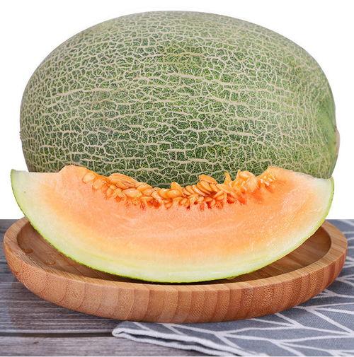 今日特价小蜜瓜,甜蜜蜜瓜，夏日清凉首选！