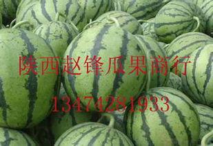 蒙阳今日哈密瓜批发价,新鲜美味，价格实惠，尽享夏日清凉！”