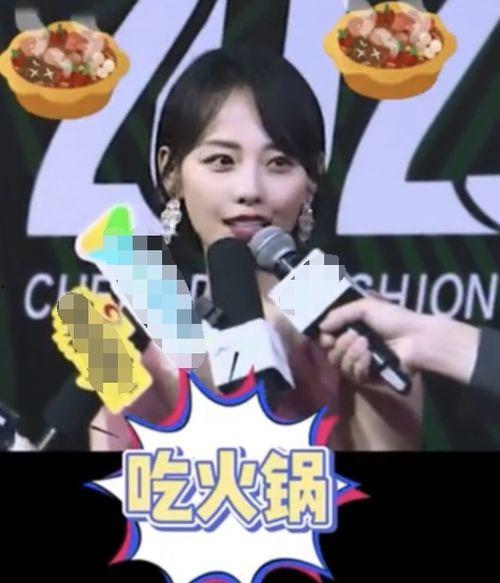 明星网红同台黄梅戏,明星网红齐聚黄梅戏，演绎传统与现代的交融盛宴