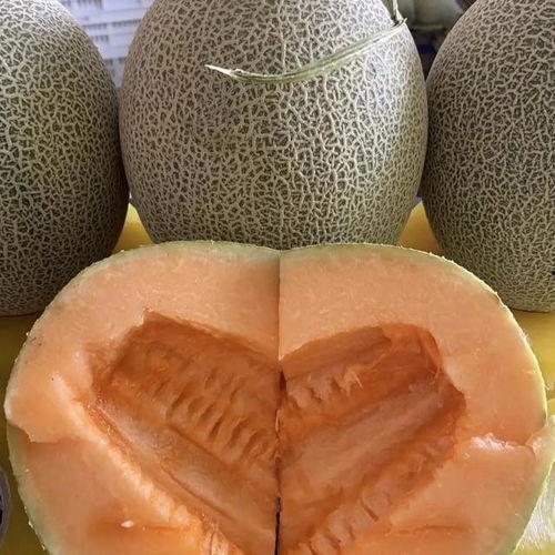 哈密瓜今日的价格,市场行情一览