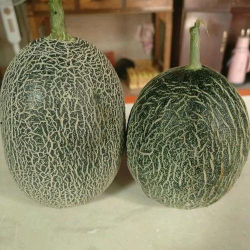 哈密瓜今日的价格,市场行情一览