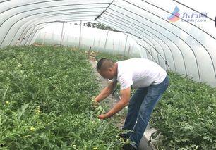 今日热瓜上海,聚焦城市焦点，解码民生热点