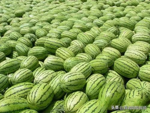 吃瓜今日热门大瓜,揭秘娱乐圈惊天秘闻！