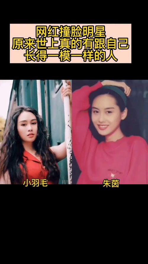 撞脸明星网红测试图,网红明星大碰撞，谁才是真正的“双胞胎”