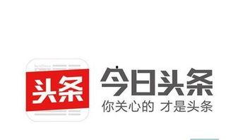石家庄今日头条卖瓜,石家庄街头瓜果飘香，今日头条带你品味新鲜美味