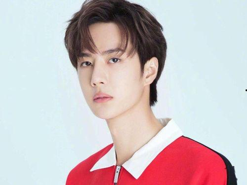 新昌的明星网红是谁,揭秘明星网红背后的故事