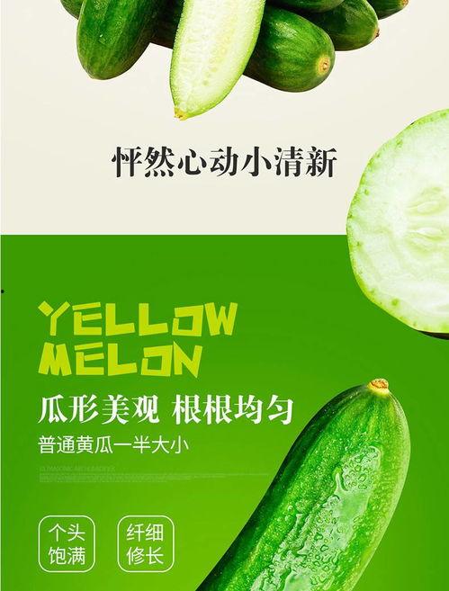 开封今日鲜瓜价格表图片,新鲜上市，价格实况速览