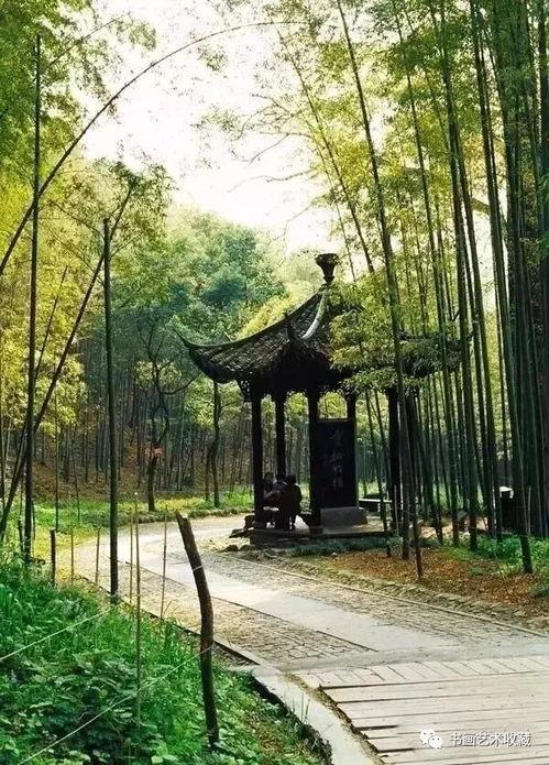 杭州云栖竹径明星网红,杭州网红打卡地，明星同款美景揭秘”