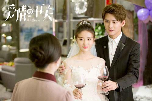 爱情的开关电视剧,解锁心锁，共赴浪漫之旅