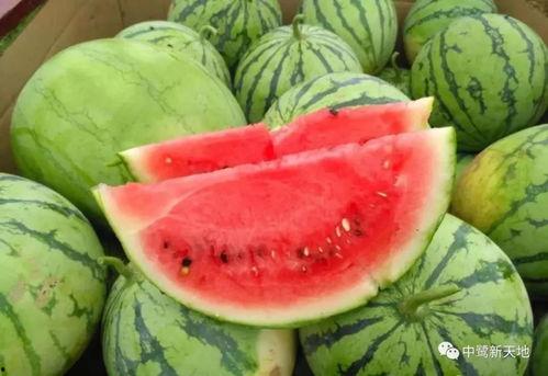 今日吃瓜关键词,揭秘娱乐圈最新热点事件