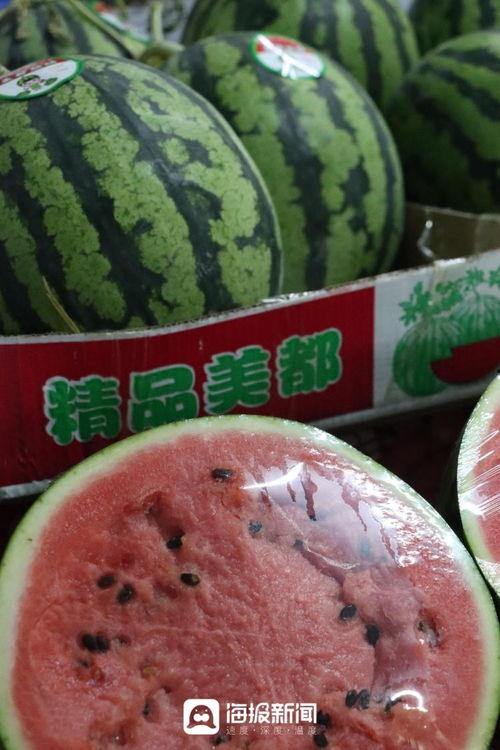 今日甜王瓜价格多少钱一斤,行情波动，一斤多少钱？