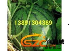 江苏盐城麒麟瓜产地今日价格