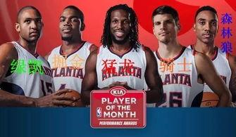 无偿分享全明星网红合集,一网打尽热门达人