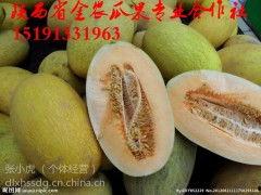 哈密瓜今日价格最新行情,哈密瓜价格波动解析