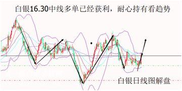 白银小乳瓜今日价格行情,涨跌波动一览