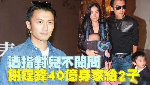 今日份吃瓜杨紫,娱乐圈最新热点揭秘