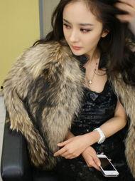 明星网红视频作品大全集