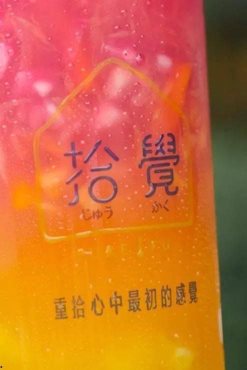 明星网红凤梨是谁啊